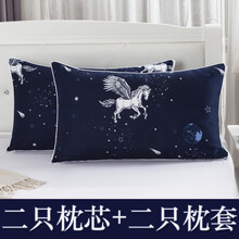 枕头枕套套装一对护颈椎一只装韩式枕芯可爱单人学生宿舍男枕头芯 藏青色