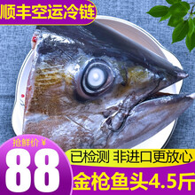 渔人百味 金枪鱼头1.2-3.5kg新鲜金枪鱼肉金枪鱼眼低温冷冻烧烤炖汤日本料理熟吃健康轻食 金枪鱼头1.5-2.5kg