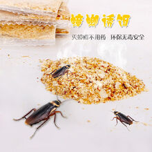 蟑螂捕捉器蟑螂屋贴灭蟑螂神器胶饵克星强力蟑螂药家用全窝端 10包诱饵 新升级带诱气孔