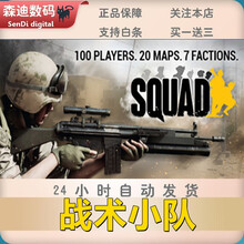STEAM游戏PC Squad 战术小队激活码 行动小组 射击类游戏 大型多人战争游戏 程驼 标准版 阿根廷区账号激活