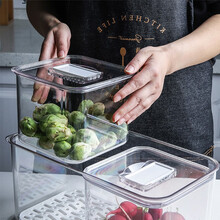 舍里 透明塑料冰箱保鲜盒食物收纳盒蔬菜水果冷藏储物双层沥水盒 单层保鲜盒中号