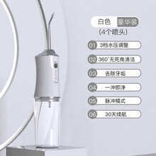 LIYOU 电动冲牙器口腔冲洗器家用洗牙垢除牙结石去除器黄牙便携式洁牙器 米白色(豪华款)