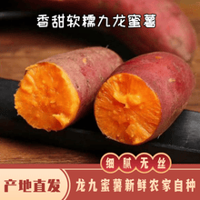 龙九红薯黄心蜜薯农家新鲜地瓜现挖现发 5斤大果装