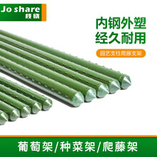 爬藤架庭院葡萄架杆户外爬藤花架种菜架子花架爬藤蔓植物攀爬架花支架支撑架杆藤蔓植物黄瓜架豆角架插杆竹竿 长度240cm（10支） 直径20mm