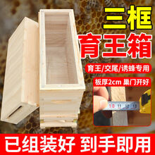 蜜蜂育王箱 蜂王交尾箱 杉木三框蜂箱育王分蜂专用小型交尾蜜蜂箱 三框育王箱
