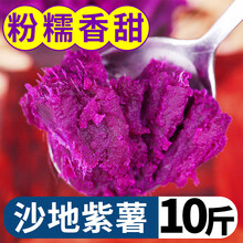 紫薯新鲜番薯农家自种地瓜10斤云南木薯红薯粉糯香甜当季蔬菜 10斤 中果