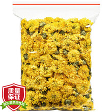 【大份量约500朵】金蕊皇菊 菊花球婺源皇菊皇菊贡菊菊花茶可搭枸杞决明子金银花茶散装袋装100克