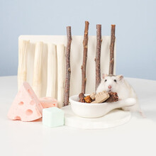 宠尚天（Jonsanty）MYTC1 仓鼠磨牙石龙猫兔子荷兰猪磨牙棒