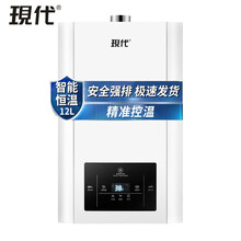 【上门安装】现代燃气热水器智能变频恒温家用煤气低水压强排式大屏即热式小型 12升白色+智能恒温+上门安装 瓶装煤气（液化气）