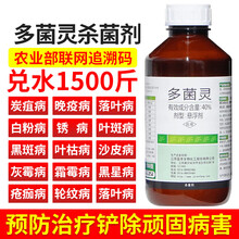 多菌灵花药多肉月季花卉植物盆栽叶斑病多菌箘灵白粉病剂 1000g