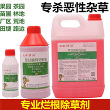 草甘膦异丙胺盐农药除草烂根剂一扫光烂草根药草甘磷除杂草杀草剂 1000g