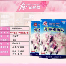 樟脑丸衣柜防霉防蛀防虫芳香去味透气独立包装防潮樟脑球 3包/60粒(体验装)