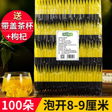 菊花茶 金丝皇菊一朵一杯独立袋装江西修水特大朵菊花级金丝黄菊 中期大花100朵装