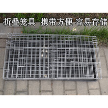 鸡笼子家用不锈钢色养殖场笼特大号鸽子兔笼子折叠加粗笼子 单笼+粪盘 特小号35*25*30cm