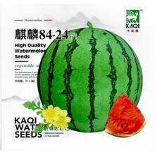 早熟瓜果蔬菜种子西瓜种籽香瓜哈密瓜种孑羊角蜜甜瓜种子阳台盆栽 麒麟8424西瓜50粒原装