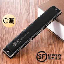 抖音同款 上海国光限量版24孔复音口琴高级专业演奏级成人初学者学生入门乐器 黑色C调