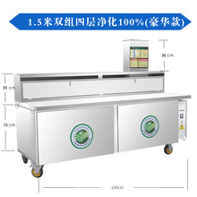 雅乐环保无烟烧烤车平吸风款商用大型木炭烤炉净化摆摊移动烧烤架 1.5米双组四层净化豪华款