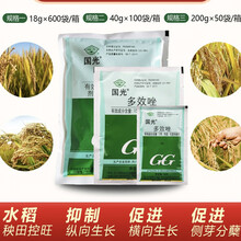 多效唑矮化剂花卉果蔬农药控徒长多肉矮壮素植物生长调节剂 18g