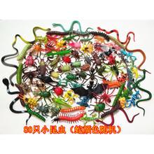 仿真昆虫 仿真小动物模型迷你小昆虫蝎子蜈蚣蟑螂儿童早教认知玩具教具 80只组合款小昆虫