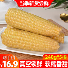 喵乡甜白糯玉米240g*10支装新鲜玉米棒非转基因真空锁鲜甜糯玉米黏玉米代餐早餐即食生鲜蔬菜水果粗粮 白糯240g*5支装