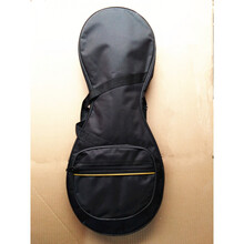 京炫（JINGXUAN)自产两弦7品桐木柳琴土琵琶柳叶琴业余练习民间弹拨乐器歌舞道具 两弦带加厚棉包