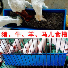 七六牧业猪槽子喂猪食槽养牛羊马厂设备塑料加厚牛筋熟胶牲口饮水料槽大号 (加厚)黑色(6个装)