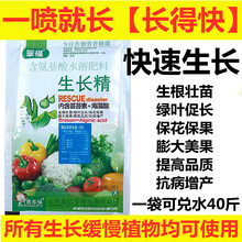 长得快植物一喷长得快农作物生长调节剂叶面肥绿叶促生长促花增产 生长精30克x20袋