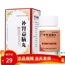 灵泰 补肾益脑丸 100丸 1盒装