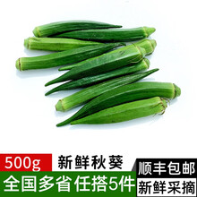 秋葵500g 新鲜蔬菜水果黄秋葵六角羊角豆沙拉食材多省 健康轻食