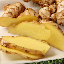 生姜老姜新鲜云南小黄姜月子老生姜罗平土姜农家自种食用蔬菜 3斤实惠装