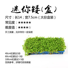 鱼缸水草造景活体水草种子水榕牛毛草水藻迷你爬地矮珍珠叉柱花挖耳草天胡荽活体套餐 迷你矮（盒装）