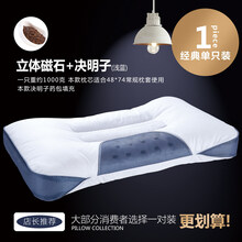 恒源祥同款家纺严选品质 决明子枕头单人荞麦皮护颈椎枕双人枕芯一对装整头成人家用v7 【单只装】浅蓝双边+磁石+决明子枕头