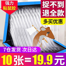 【20片装】粘鼠板超强力老鼠贴老鼠药大号加厚灭耗子大鼠粘板沾胶除鼠灭鼠神器家用黏鼠板抓老鼠夹捉捕鼠器 10张装