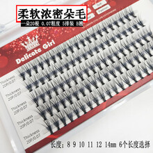 乐哉美妆假睫毛自然款B翘20根大盒自己嫁接朵毛自然浓密嫁接假睫毛貂绒丝单株单簇种植睫毛