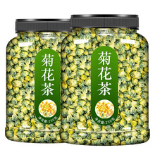 ℂ℘精选菊花茶桐乡胎菊500g野生杭白菊新花