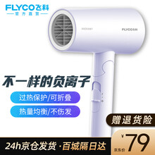 飞科（FLYCO）电吹风机家用大功率不伤发吹风筒负离子大风力电风吹机吹飞可折叠FH6276 6277 6277莫兰迪（51%用户选择）