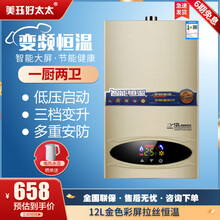 好太太 燃气热水器天然液化然气家用人工煤气沼气强排式14L16L升变频恒温热水器  12L金色彩屏拉丝恒温-天然气款【上门安装】