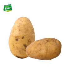 有机汇 有机土豆500g  马铃薯 新鲜有机蔬菜 中国欧盟美国有机认证蔬菜  土豆泥宝宝辅食