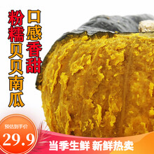 新品贝贝南瓜迷你小南瓜新上精品香甜粉糯新鲜蔬菜板栗味宝宝辅食农家自种含箱重量 优选贝贝南瓜 五斤普通装