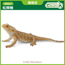 英国CollectA我你他仿真野生昆虫爬虫玩具88567松狮蜥蜥蜴鬃狮蜥 松狮蜥(长13cm)