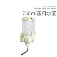 小囧家 龙猫水壶饮水器花枝鼠松鼠蜜袋鼯土拨鼠防咬玻璃喝水壶专用兔子大容量饮水壶350ml/750ml 750ml 塑料款