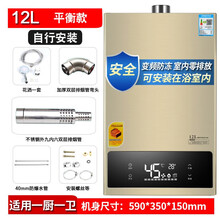 家用天然气12L16L升恒温强排式液化煤气平衡式洗澡燃气热水器 【平衡款】12升（不包安装） 液化气