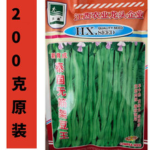 泰国无筋架豆王豆角种子 中熟高产豇豆四季豆蔬菜籽 罐装 春秋播 200克原装【泰国无筋架豆王】(基地专用)