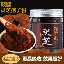 灵芝孢子粉破壁长白山林芝粉袍子粉孢子油 灵芝孢子粉250克【1罐】