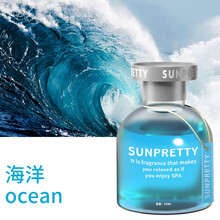 车载香水补充液 车载香水汽车香薰车内香氛高档持久淡香补充液车上摆件男士专用 瑞士进口香料(海洋味)1瓶