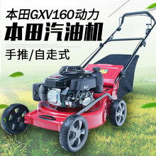 本田HRJ196动力草坪机四冲程汽油自走式剪草机家用手推式割草机草坪修剪机除草机 20寸国产松戈 20寸本田GXV160动力自走式