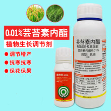 沃德伊诺 0.01%芸苔素内脂内酯植物生长调节剂农药云台素促生长叶面肥 500g