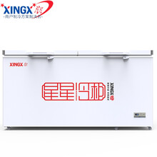 星星（XINGX）408升商用大容量冰柜 冷藏冷冻转换卧式冷柜超市冰箱保鲜柜BD /BC-408FE BD/BC-408FE