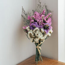 涞思芊*轻奢芊阙尤加利玫瑰干花花束家居装饰桌面摆件ins网红干花勿忘我松果棉花 混色勿忘我花束 不带花瓶