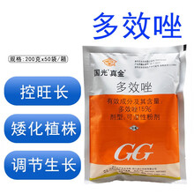 国光真金15%多效唑果树植物花卉多肉矮化剂矮壮素控制生长调节剂 200g1袋